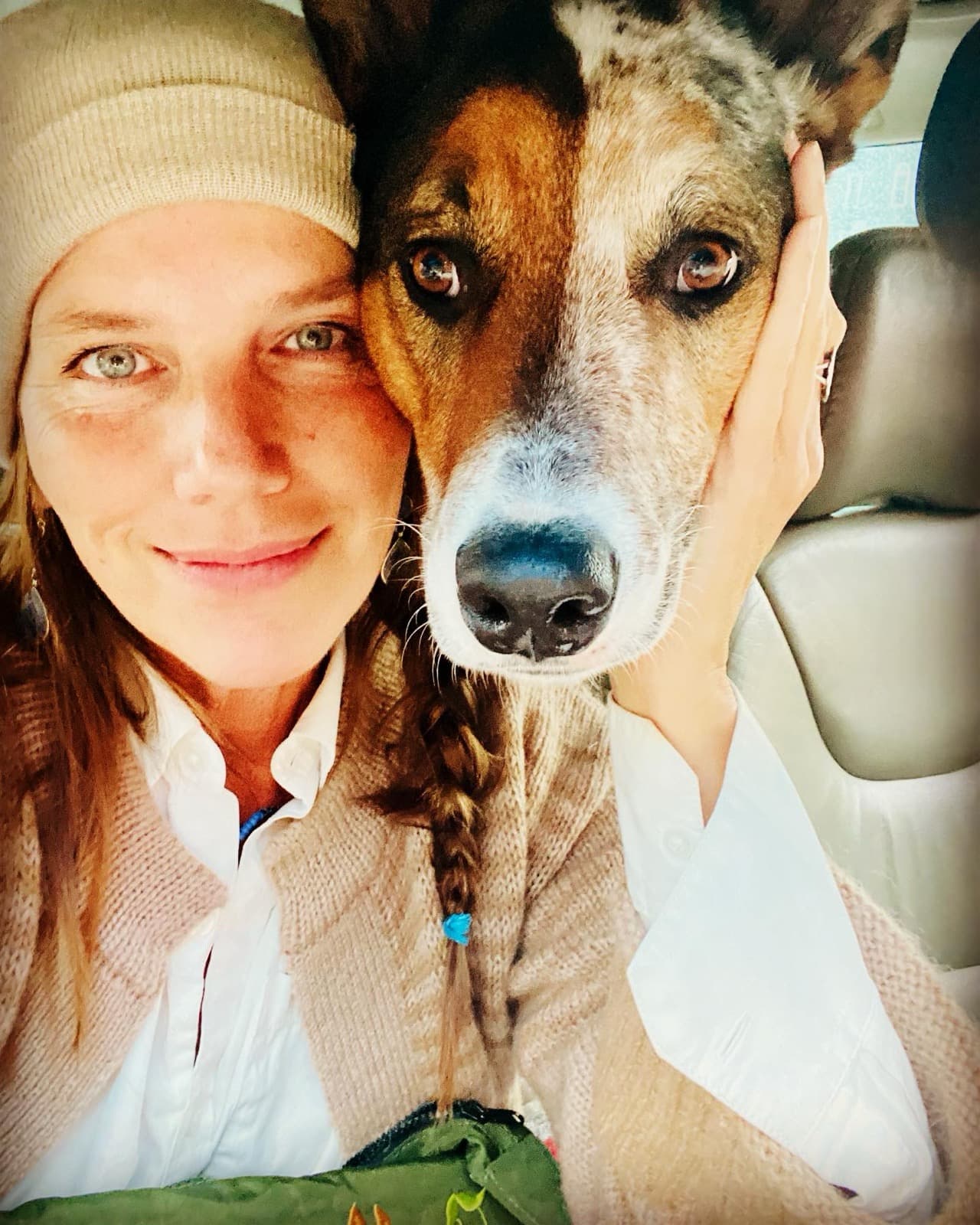 Pink Pony Ranch — dogs, ponies and guests